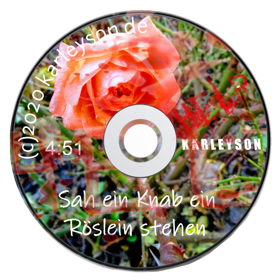 Bild der Mix CD